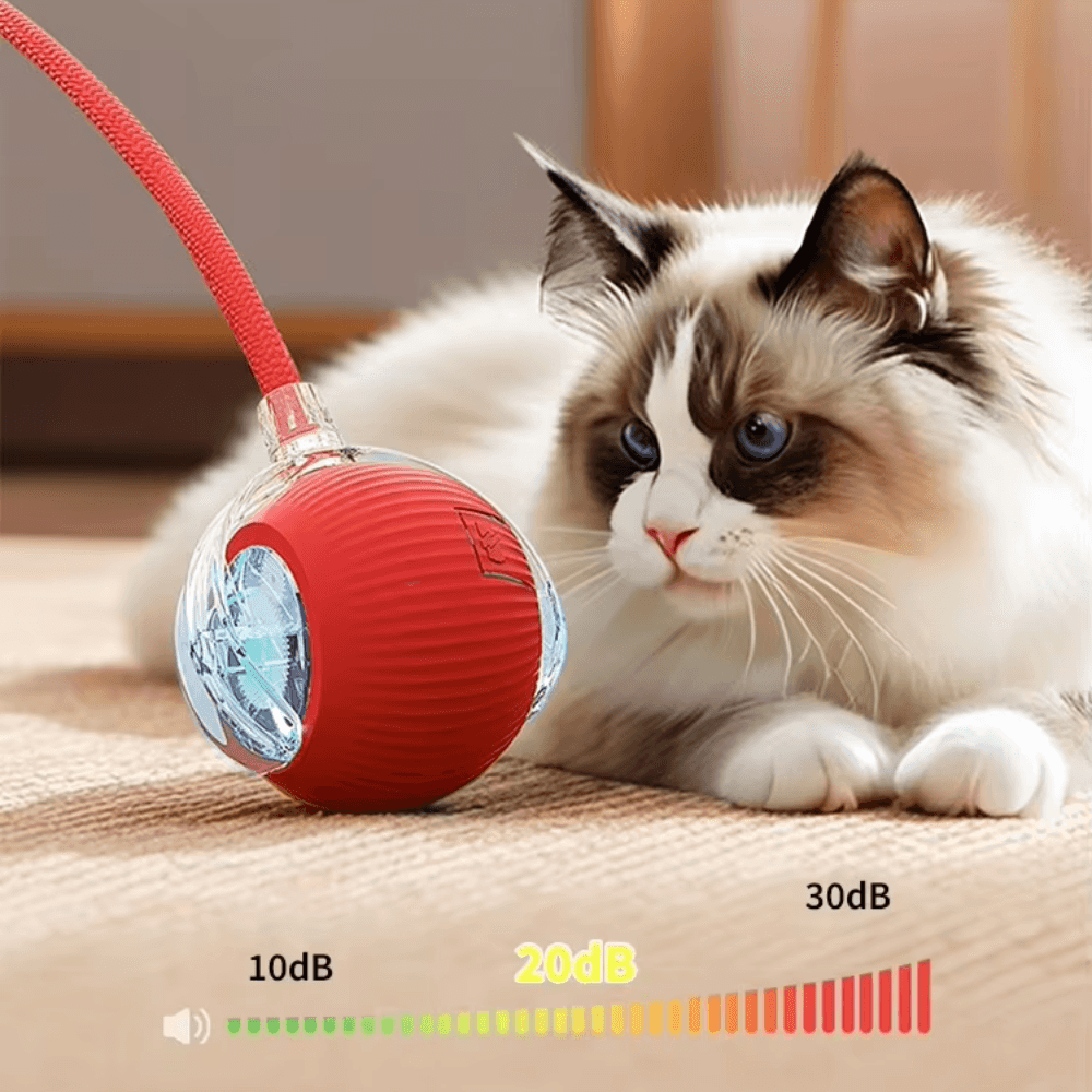 Pawzioo™  Self-Moving Cat Toy Ball – 360° Auto-Rolling, Smart Interactive Pet Ball for Indoor Cats & Small Dogs – Fast & Engaging Play
