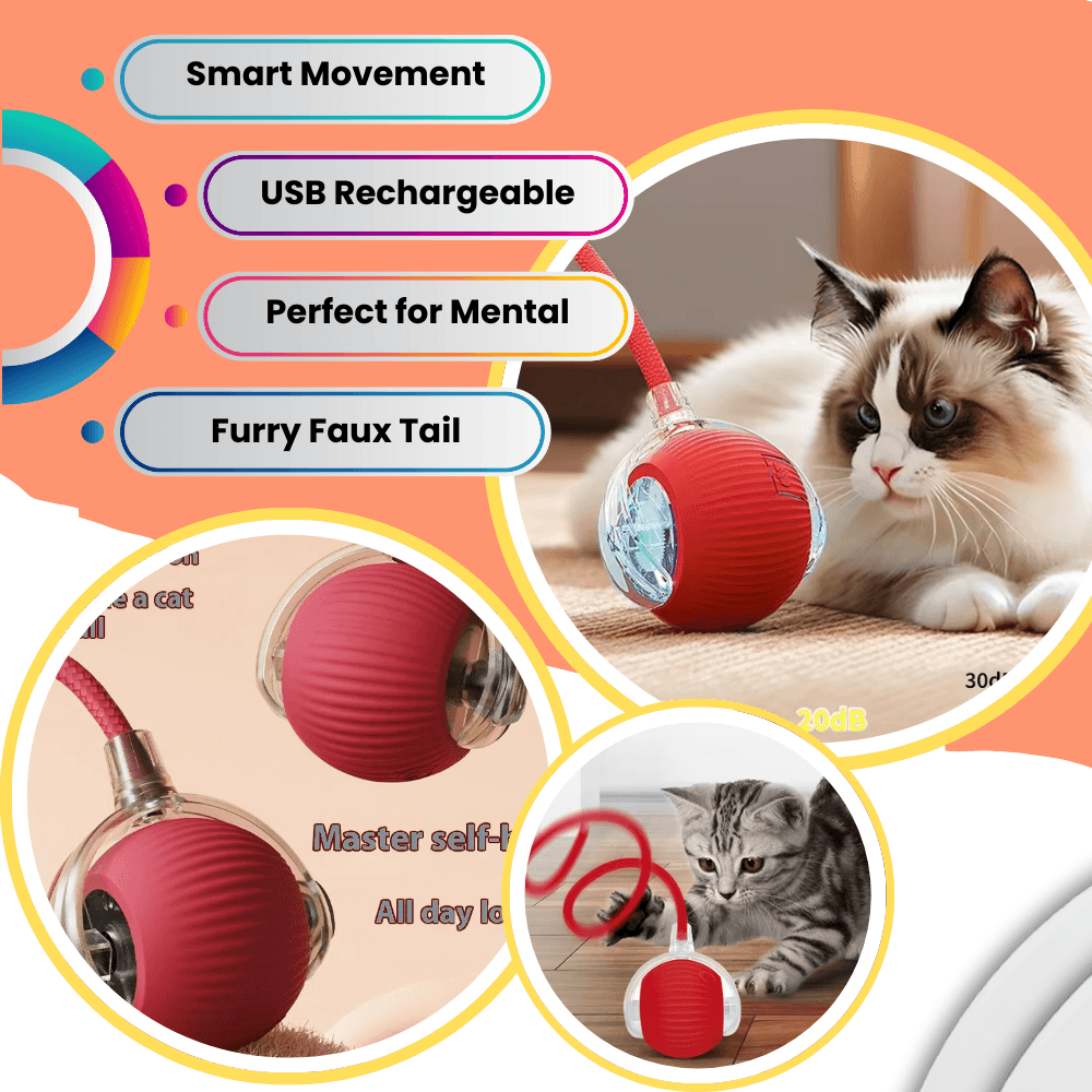 Pawzioo™  Self-Moving Cat Toy Ball – 360° Auto-Rolling, Smart Interactive Pet Ball for Indoor Cats & Small Dogs – Fast & Engaging Play