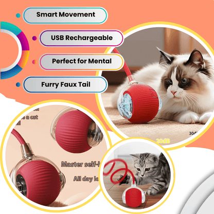 Pawzioo™  Self-Moving Cat Toy Ball – 360° Auto-Rolling, Smart Interactive Pet Ball for Indoor Cats & Small Dogs – Fast & Engaging Play
