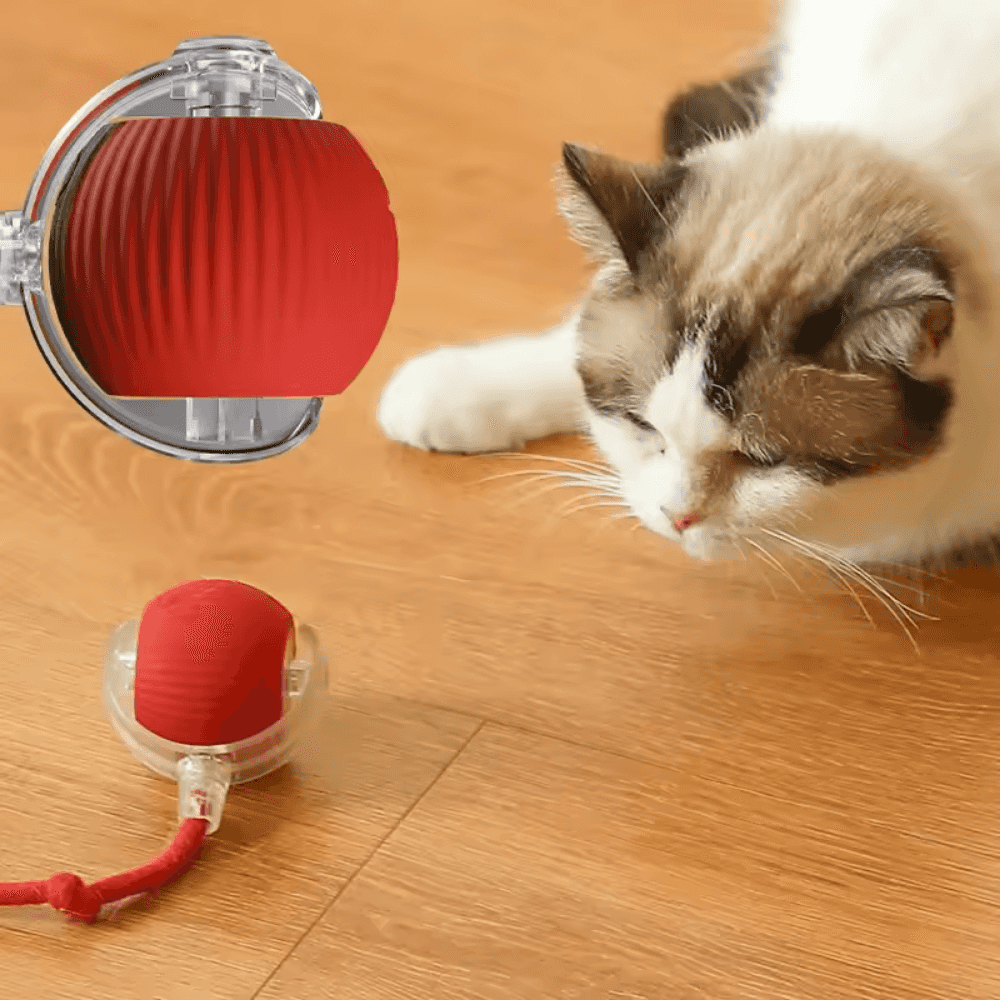 Pawzioo™  Self-Moving Cat Toy Ball – 360° Auto-Rolling, Smart Interactive Pet Ball for Indoor Cats & Small Dogs – Fast & Engaging Play