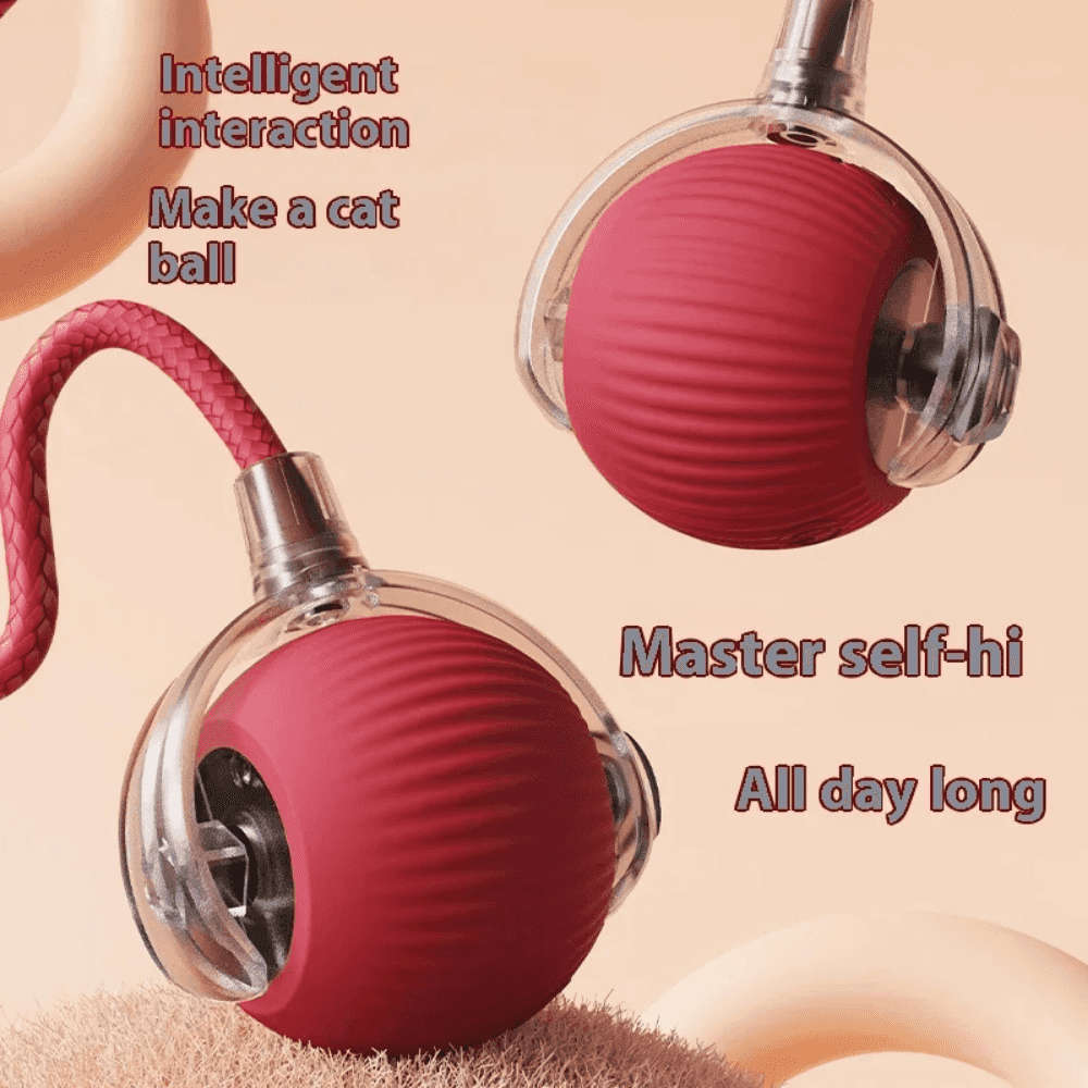 Pawzioo™  Self-Moving Cat Toy Ball – 360° Auto-Rolling, Smart Interactive Pet Ball for Indoor Cats & Small Dogs – Fast & Engaging Play