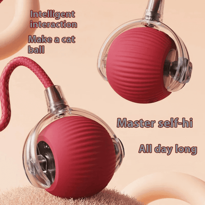 Pawzioo™  Self-Moving Cat Toy Ball – 360° Auto-Rolling, Smart Interactive Pet Ball for Indoor Cats & Small Dogs – Fast & Engaging Play