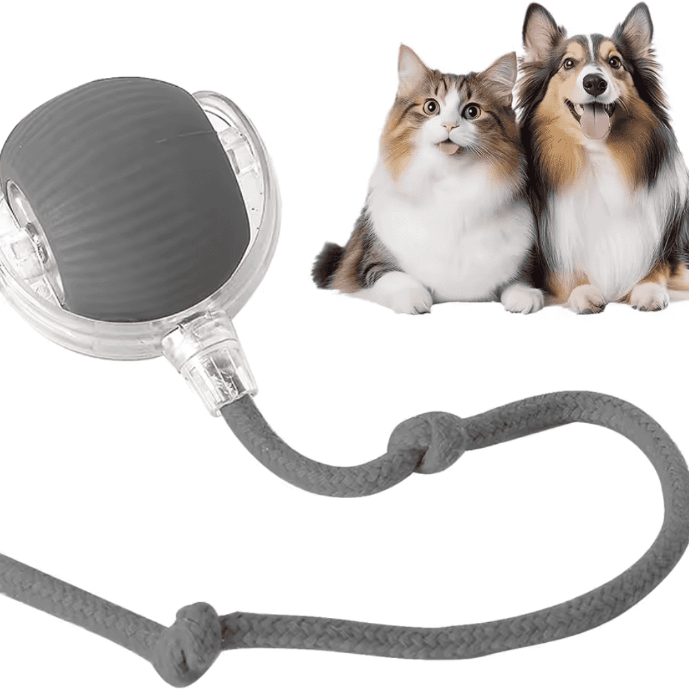 Pawzioo™  Self-Moving Cat Toy Ball – 360° Auto-Rolling, Smart Interactive Pet Ball for Indoor Cats & Small Dogs – Fast & Engaging Play