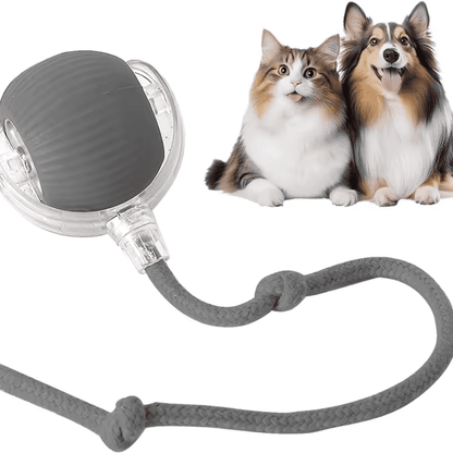 Pawzioo™  Self-Moving Cat Toy Ball – 360° Auto-Rolling, Smart Interactive Pet Ball for Indoor Cats & Small Dogs – Fast & Engaging Play