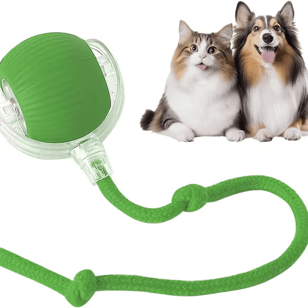 Pawzioo™  Self-Moving Cat Toy Ball – 360° Auto-Rolling, Smart Interactive Pet Ball for Indoor Cats & Small Dogs – Fast & Engaging Play