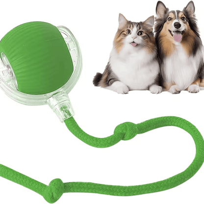 Pawzioo™  Self-Moving Cat Toy Ball – 360° Auto-Rolling, Smart Interactive Pet Ball for Indoor Cats & Small Dogs – Fast & Engaging Play