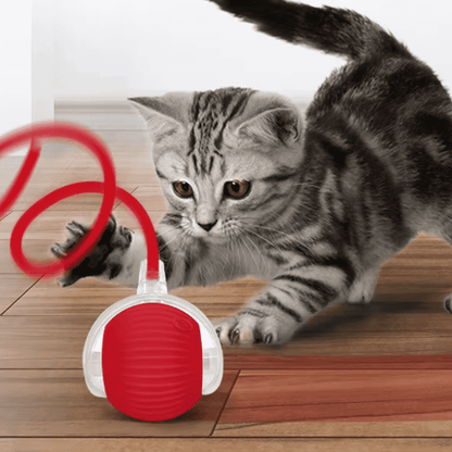 Pawzioo™  Self-Moving Cat Toy Ball – 360° Auto-Rolling, Smart Interactive Pet Ball for Indoor Cats & Small Dogs – Fast & Engaging Play