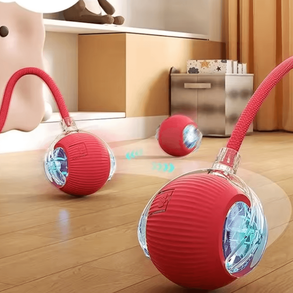 Pawzioo™  Self-Moving Cat Toy Ball – 360° Auto-Rolling, Smart Interactive Pet Ball for Indoor Cats & Small Dogs – Fast & Engaging Play