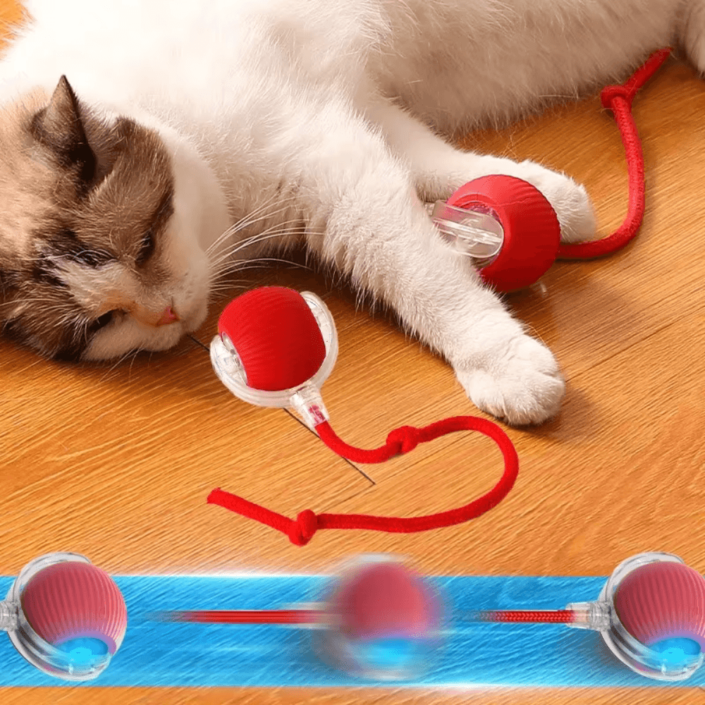 Pawzioo™  Self-Moving Cat Toy Ball – 360° Auto-Rolling, Smart Interactive Pet Ball for Indoor Cats & Small Dogs – Fast & Engaging Play