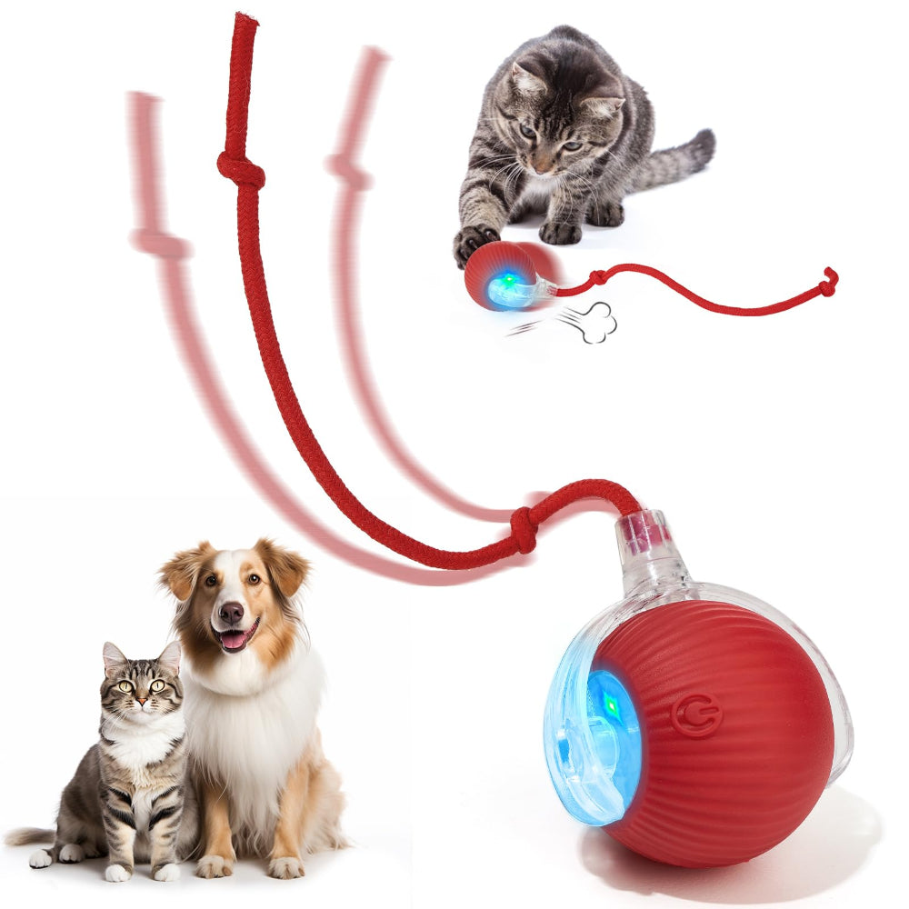 Pawzioo™  Self-Moving Cat Toy Ball – 360° Auto-Rolling, Smart Interactive Pet Ball for Indoor Cats & Small Dogs – Fast & Engaging Play