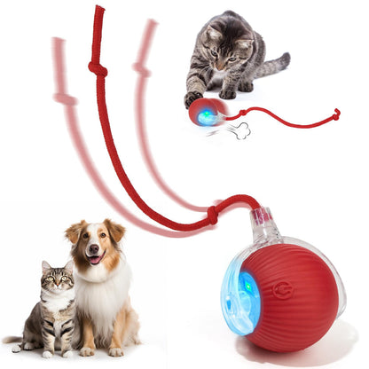 Pawzioo™  Self-Moving Cat Toy Ball – 360° Auto-Rolling, Smart Interactive Pet Ball for Indoor Cats & Small Dogs – Fast & Engaging Play