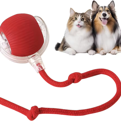 Pawzioo™  Self-Moving Cat Toy Ball – 360° Auto-Rolling, Smart Interactive Pet Ball for Indoor Cats & Small Dogs – Fast & Engaging Play